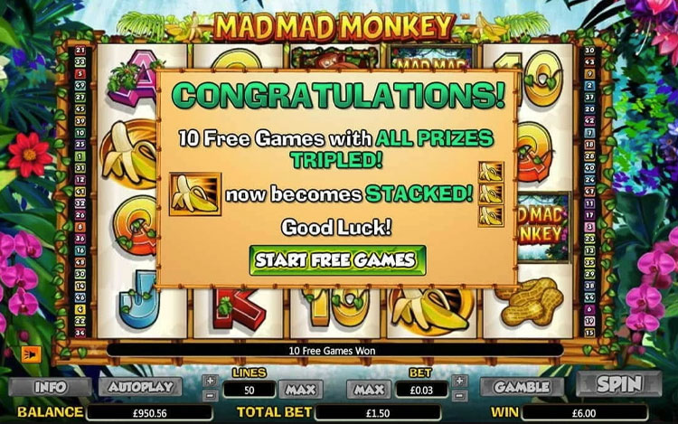 Mad Mad Monkey Slots MegaCasino